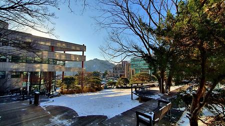 [포토] 2021년 새해 첫 눈 